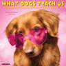 Willow Creek Press What Dogs Teach Us 2026 12" X 12" Wall Calendar